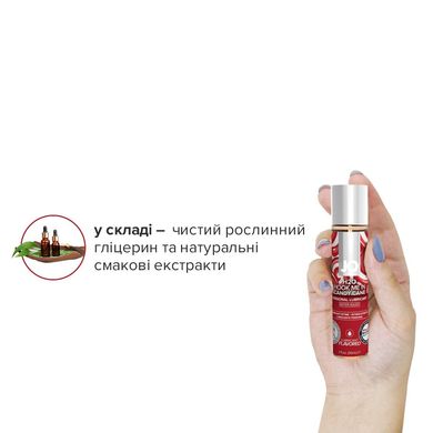 Набір лубрикантів System JO Naughty or Nice Gift Set – Candy Cane & Gingerbread (2×30 мл) SO6163 фото